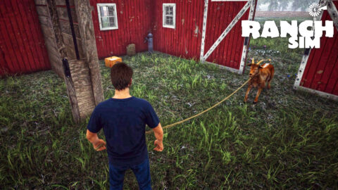 Ranch Simulator